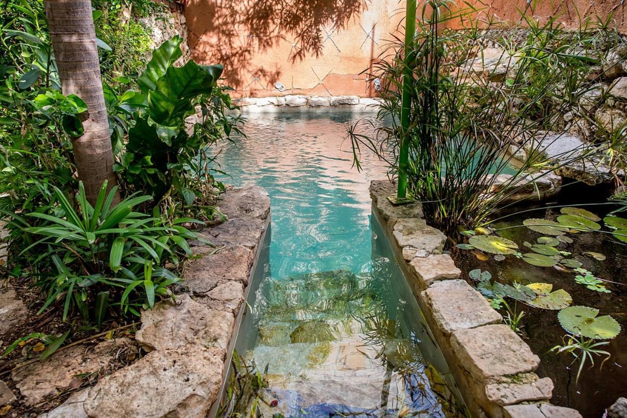 Pueblo Maya By Majikal B&B Merida Ngoại thất bức ảnh