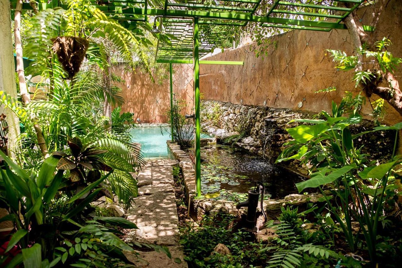 Pueblo Maya By Majikal B&B Merida Ngoại thất bức ảnh